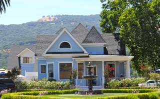 Blue Victorian