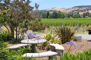 G V Winery