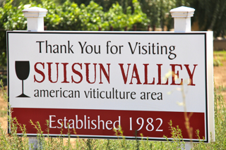 Suisun valley wine tasting