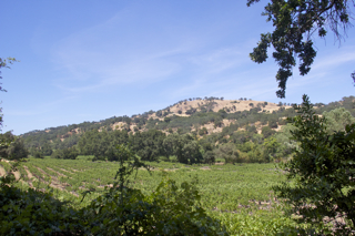 Suisun Valley