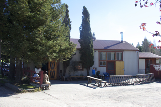 Wild Flour Bakery Sebastopol, California